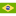 Flag Brazil